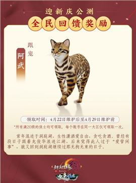 精私服传奇